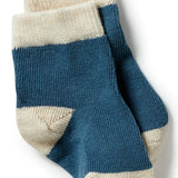 3 pack Baby Socks- Bluestone/ Sterling/ Oatmeal AW23