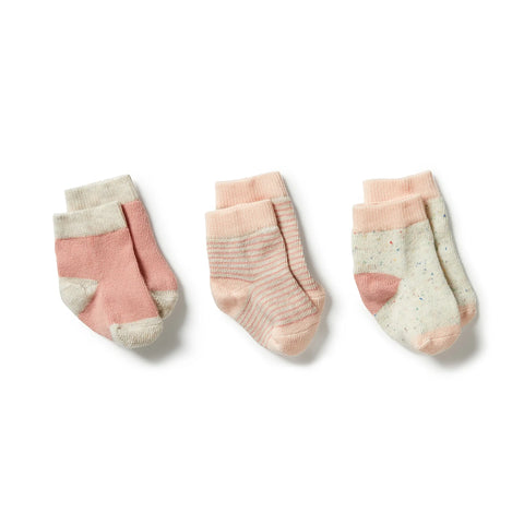 3 Pack Baby Socks- Peach/ Shell/ Oatmeal AW23