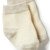 3 pack Baby Socks- Nougat/ Eggnog/ Oatmeal AW23