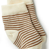 3 pack Baby Socks- Nougat/ Eggnog/ Oatmeal AW23