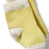 Endive, Bluebell, Blue Organic 3 pack baby socks AW24