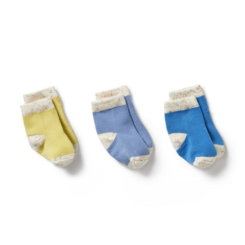 Endive, Bluebell, Blue Organic 3 pack baby socks AW24