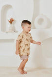 Taupe Rib Kids Shorts SS24