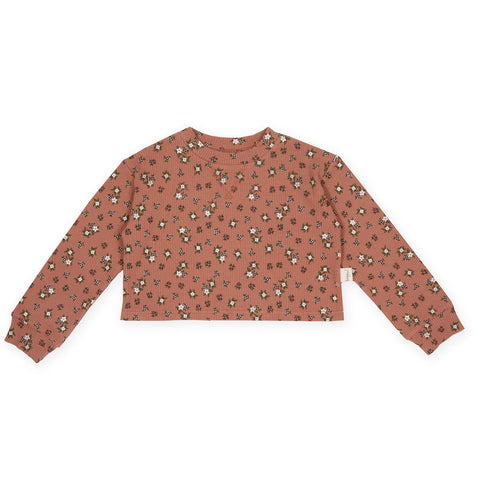 Ditsy Floral Rib Cropped Sweater AW22