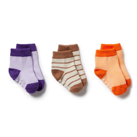 3 Pack Baby Socks- Apricot/ Burro/ Pastel Lilac