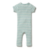 Pistachio / Ecru Organic Stripe Rib Zipsuit SS21